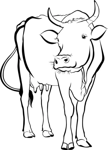 Cow. cow farm. cow animal. cow vector silhouette — Stock Vector