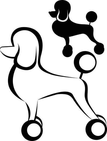 Chien caniche. Caniche chien de race avec clip continental debout dans la silhouette vectorielle vue de côté isolé — Image vectorielle