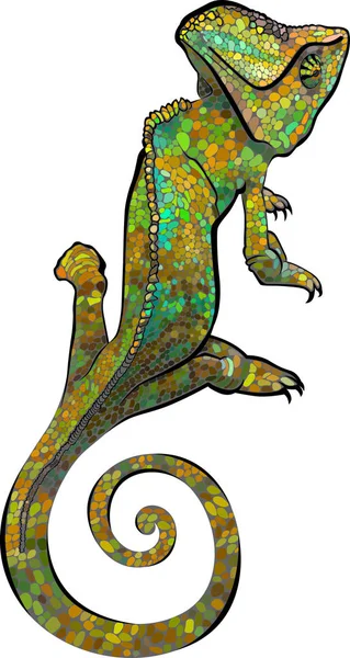 Kameleont. Chameleon vektor print. Vektorillustration av en silhuett av en kameleont — Stock vektor