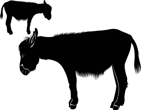 L'âne. Silhouette d'âne. silhouette d'âne icône isolée vectoriel illustration design — Image vectorielle