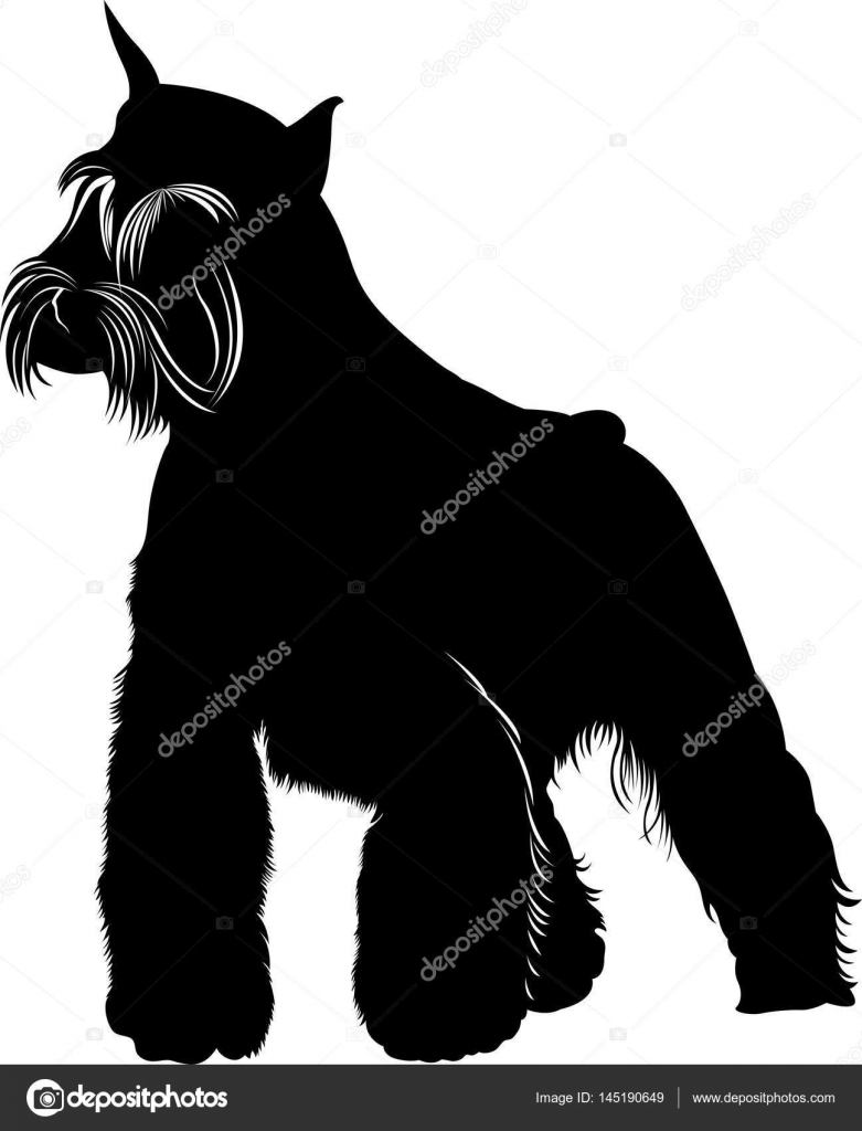 ジャイアント シュナウザー犬シルエットストックベクター ロイヤリティフリージャイアント シュナウザー犬シルエットイラスト Depositphotos