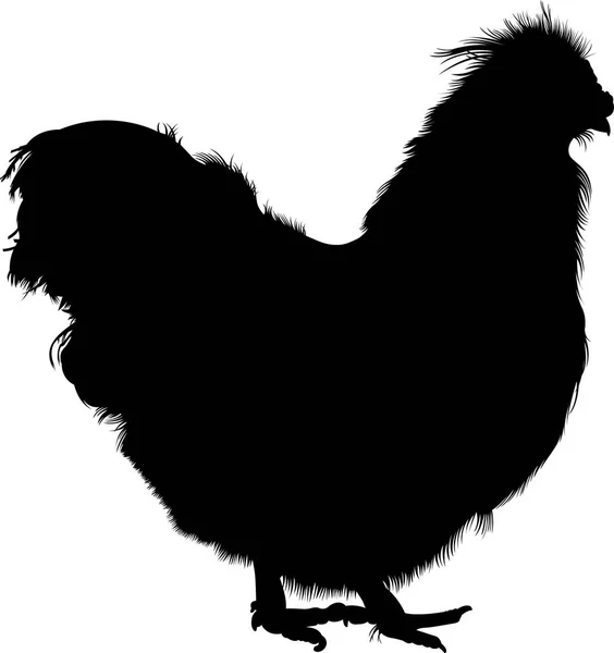 Rooster. Vector image of an cock on white background — Stock Vector