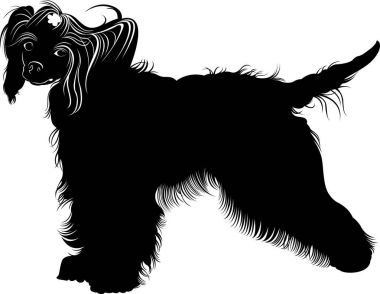 Çince Tepeli Köpek. Köpekler. Beyaz arka plan üzerinde izole Çin Tepeli doğurmak, siyah ve beyaz vektör resim