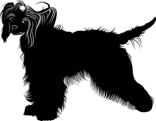 Čínský chocholatý pes. psy. čínský chocholatý plemeno, černé a bílé vektorový obrázek izolovaných na bílém pozadí — Stockový vektor