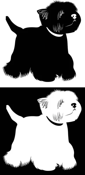 West Highland White Terrier. Câini West Highland White Terrier — Vector de stoc