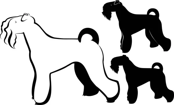 Kerry Blue Terrier. Terrier pies — Wektor stockowy