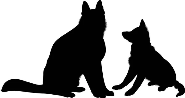 Shepherd Dogs. German Shepherd dog breed vector — Stock Vector