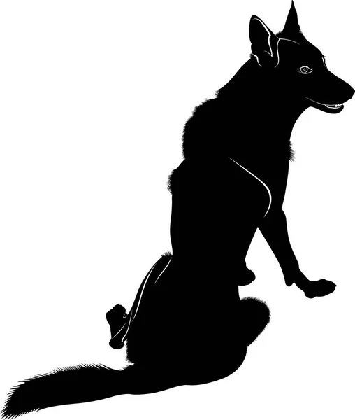 Silueta del lobo. Lobo salvaje. Ilustración vectorial . — Vector de stock