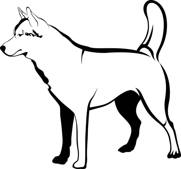 Huskies. Huskies hundraser. Porträtt av en hund. — Stock vektor