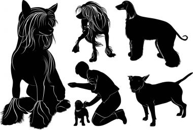 Köpekler topluluğu. Köpekler Sergisi