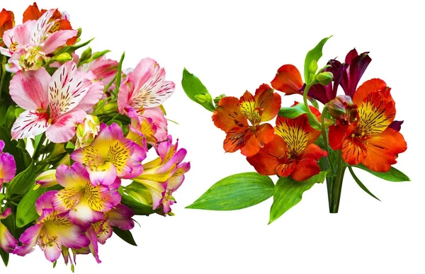 Boeket van bloemen. Alstroemeria. Boeket bloemen Alstroemeri — Stockfoto