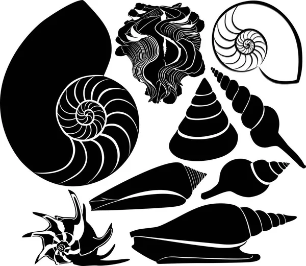 Sea Shell Vector Silhouette — Stock Vector