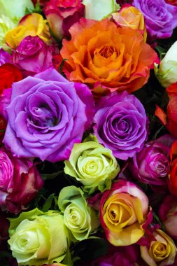 Festival arka plan gül