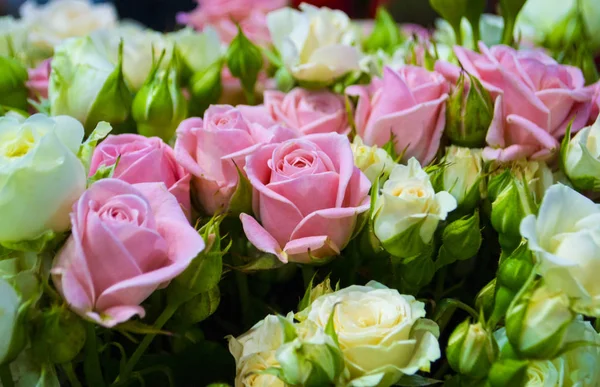 Florale achtergrond van roze en witte rozen — Stockfoto