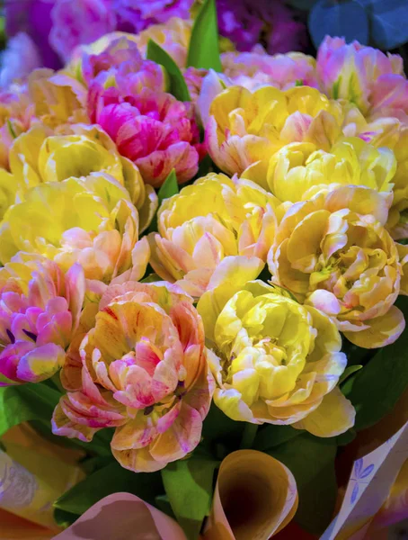 Florale achtergrond van tulpen — Stockfoto
