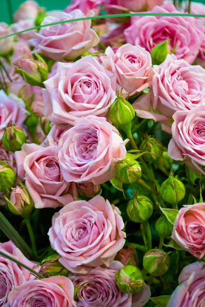 Fundo floral de rosas — Fotografia de Stock