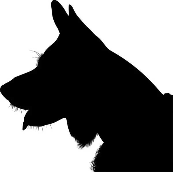 Çoban Köpeği Siluet Vektörü Alman Kurdu Çoban Köpek Portresi — Stok Vektör