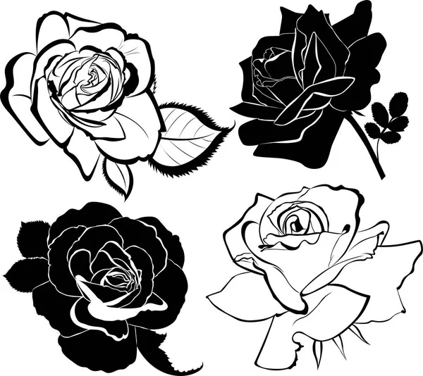 Kolekcja Wektorów Kwiatów Róż Izolowanych — Wektor stockowy