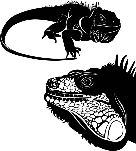 Vetor Logotipo De Camaleaoストックベクター ロイヤリティフリーvetor Logotipo De Camaleaoイラスト ページ 7 Depositphotos