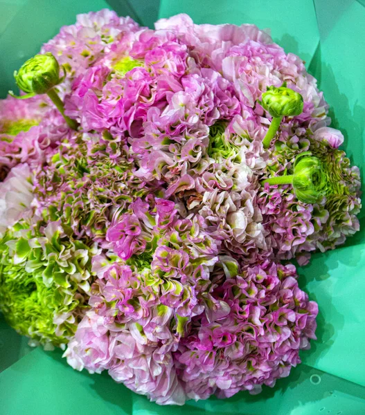 Buquê Festivo Flores Hortênsia Rosa — Fotografia de Stock