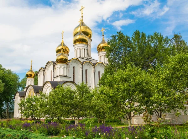 Свято-Миколаївський собор — стокове фото