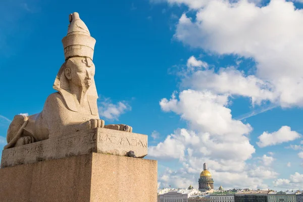 Sculptuur van de Sfinx in Sint-Petersburg — Stockfoto