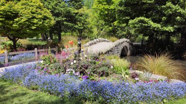 Güzel botanik fotoğrafı, doğal duvar kağıdı.