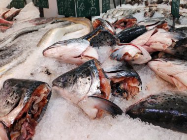 Süpermarkette buz küpündeki leziz çiğ balıklar farklı balık türleri balık kafaları taze deniz ürünleri taze taze yiyecek
