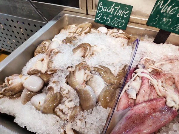 Süpermarketteki buz küpündeki lezzetli çiğ ahtapot ve mürekkep balığı taze deniz ürünleri dokunaçları sağlıklı besleyici yiyecekler yakalar.