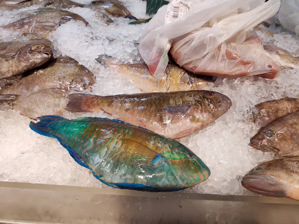 Süpermarkette buz küpündeki leziz çiğ balıklar farklı balık türleri balık kafaları taze deniz ürünleri taze taze yiyecek