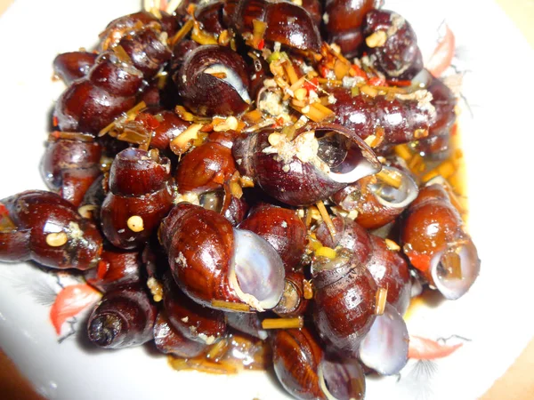 おいしい食用カタツムリチリソースガーリックハーブレモングラス伝統的なベトナム料理アジア料理サイゴン全体のシェルでおいしい調理された魚介類をグリル — ストック写真