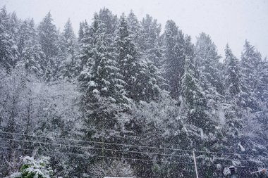 Dikkate değer kayak pisti dağın tepesinde kalın kar tabakası insanlar snowboard ile kayak yapıyor ve güzel kış tatillerini kaldırıyor. Otago dağı aşırı soğuk. 