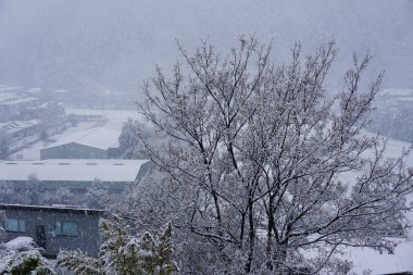 Dikkate değer kayak pisti dağın tepesinde kalın kar tabakası insanlar snowboard ile kayak yapıyor ve güzel kış tatillerini kaldırıyor. Otago dağı aşırı soğuk. 