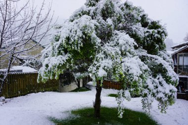 Dikkate değer kayak pisti dağın tepesinde kalın kar tabakası insanlar snowboard ile kayak yapıyor ve güzel kış tatillerini kaldırıyor. Otago dağı aşırı soğuk. 