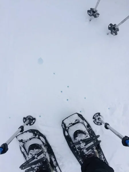 Nieuw Zeeland 1May19 Sneeuwschoenen Avontuur Wandelpad Besneeuwd Landschap Met Berg — Stockfoto