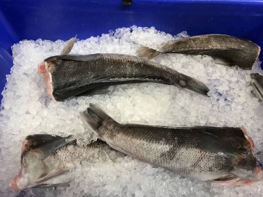 Süpermarketteki buz küpündeki lezzetli çiğ ahtapot ve mürekkep balığı taze deniz ürünleri dokunaçları sağlıklı besleyici yiyecekler yakalar. 