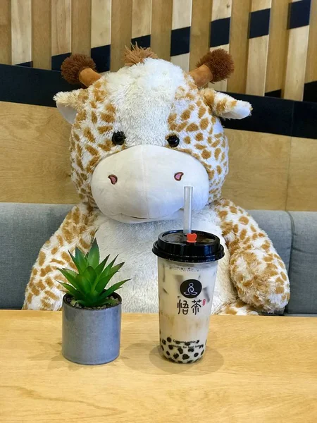 Queenstown Neuseeland Mai Wucha Bubble Tea Berühmter Taiwanesischer Milchtee Mit — Stockfoto