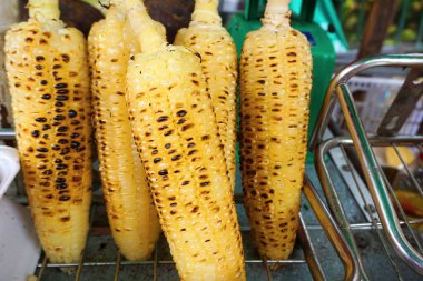 Kızarmış mısır koçanı yakın plan.         