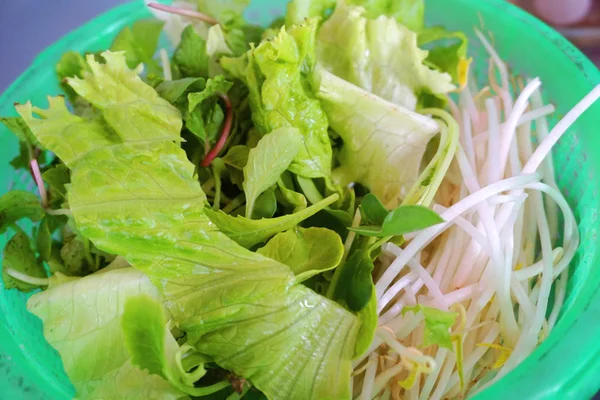 美味健康的新鲜蔬菜沙拉西红柿新鲜绿色生菜黄瓜绿豆豆芽草本植物越南菜配菜 — 图库照片