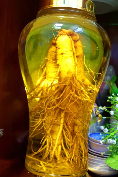 Ginseng Anggur Infusi Akar Dalam Anggur Putih Obat Oriental Kesehatan — Stok Foto