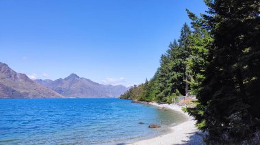Güzel Queenstown Hill yürüyüş pisti Sunshine Bay pisti güneşli yaz gününde muhteşem mavi turkuaz Wakatipu Gölü 'nü sunmak üzere Queenstown Güney Adası Yeni Zelanda' da. 