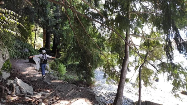 Güzel Queenstown Hill yürüyüş pisti Sunshine Bay pisti güneşli yaz gününde muhteşem mavi turkuaz Wakatipu Gölü 'nü sunmak üzere Queenstown Güney Adası Yeni Zelanda' da. 
