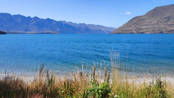 Beautiful Queenstown Hill Walking Track Sunshine Bay Track Hiking Sunny — Stock Photo, Image