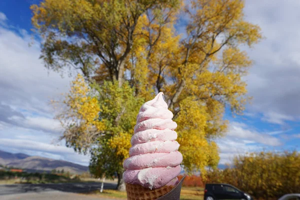 Delicioso Colorido Gelado Close Vista — Fotografia de Stock