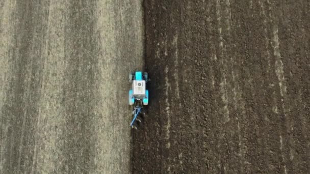 Un petit tracteur laboure la terre à la fin de la saison, préparation aux semis, fin d'automne, campagne, tir à partir d'un drone . — Video