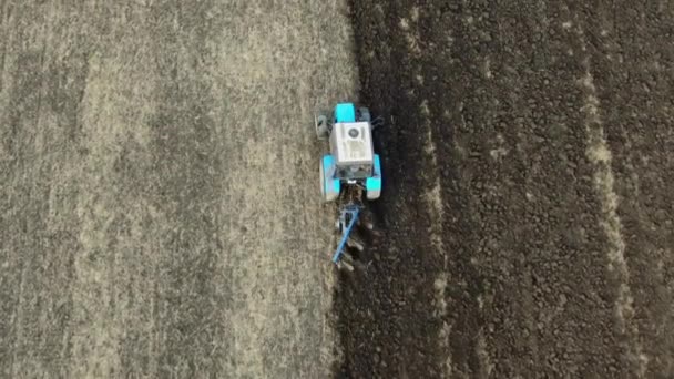 Un petit tracteur laboure la terre à la fin de la saison, préparation aux semis, fin d'automne, campagne, tir à partir d'un drone . — Video