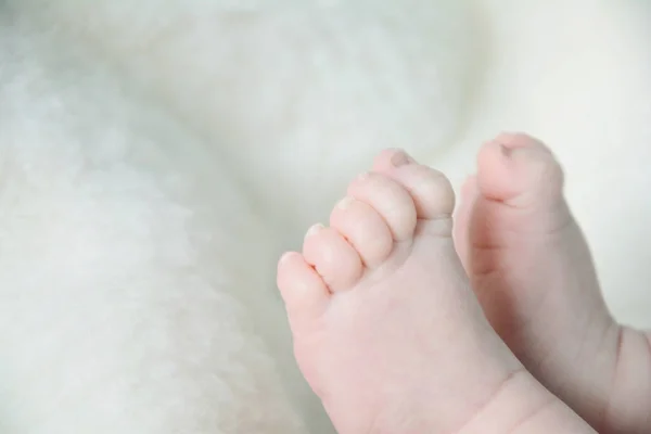 Pequeños pies recién nacidos — Foto de Stock
