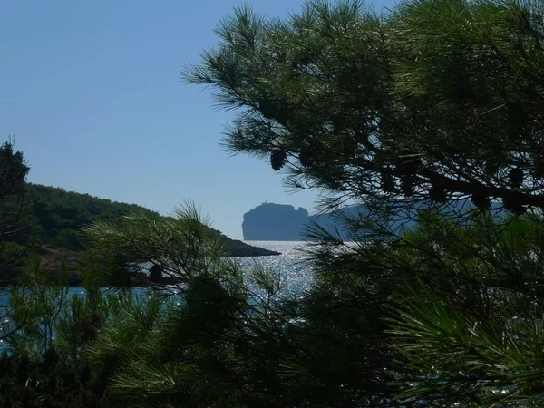 Kust Aard Capo Caccia Alghero Sardinië Italië — Stockfoto