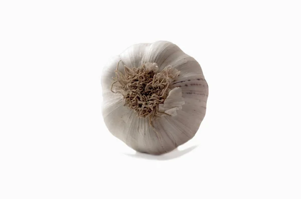 Fresh garlic isolated — Stock Photo, Image