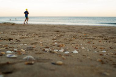 kumlu sahilde kabukları 
